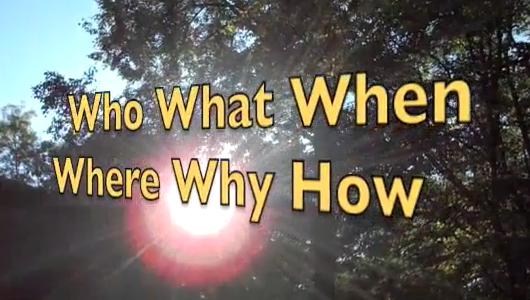 Who. What. When. Where. Why. - ELT Buzz Video Lessons